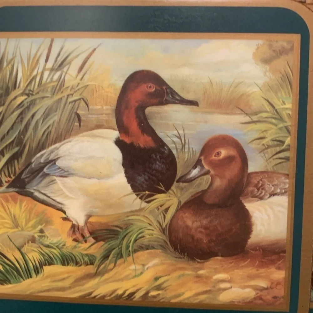 Pimpernel Duck Themed Acrylic Traditional Coasters Vintage Retro Home Decor